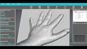 3D Object Scanning using Real3d Scanner V3 (Structured Light 3D Scanning)
