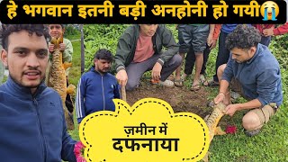 Download Lagu भगवान इसकी आत्मा को स्वर्ग में शांति दे 🥲🙏|| ऐसा पहली बार हुआ हमारे गांव में || पहली बार देखा मैंने MP3 Download Lagu भगवान इसकी आत्मा को स्वर्ग में शांति दे 🥲🙏|| ऐसा पहली बार हुआ हमारे गांव में || पहली बार देखा मैंने MP3