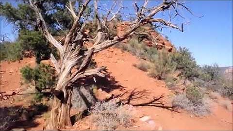Sedona vortex explainer video from Airport Mesa plus Coffee Pot rock