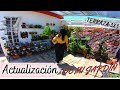 Tour Por Mi Terraza Con Mas De 200 Plantas // ASI ESTAN TODAS LAS MANUALIDADES QUE REALIZO