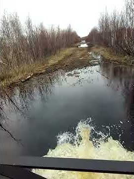 Пелец - YouTube