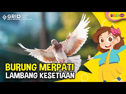 Video: Simbol dunia. Merpati sebagai simbol keamanan