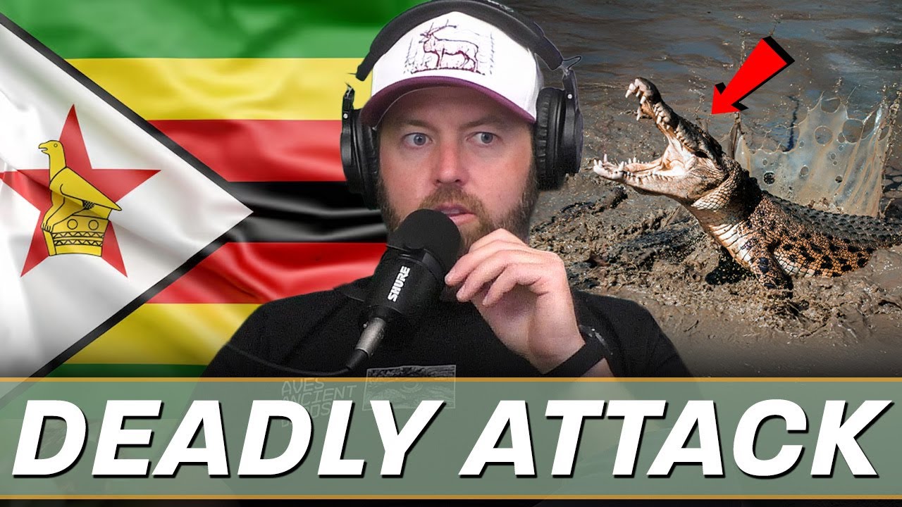 Форрест Галанте о предсмертном опыте с крокодилом