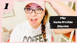 Writing A Novel In 30 Days! [The NaNoWriMo Diaries - Day 1]