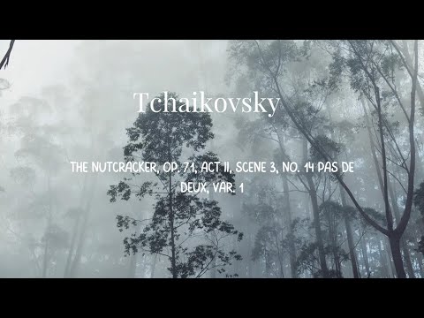 Tchaikovsky The Nutcracker Op 71 Act Ii Scene 3 No 14 Pas De Deux Var 1 Tchaikovsky The Nutcracker Op 71 Act Ii Scene 3 No 14 Pas De Deux Var 1
