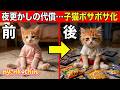 【深夜の沼】欲望に負けてDVDをイッキ見した子猫の末路。AI猫にゃんこちん
