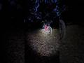 Flying Into the Darkness 🌌 | MTB Night Jump in Slow Motion
