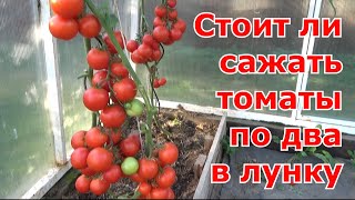 По два корня томатов в одну лунку. Преимущества и недостатки данного способа посадки помидоров