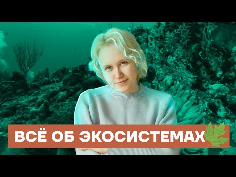 Все об экосистемах на ОГЭ | Биология ОГЭ 2022 | Умскул