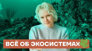 Все об экосистемах на ОГЭ | Биология ОГЭ 2022 | Умскул