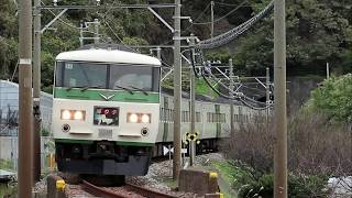 185系特急踊り子号 黒船電車コラボ蓮台寺ミナト 251系スーパービュー踊り子号　稲取第２踏切にて撮影