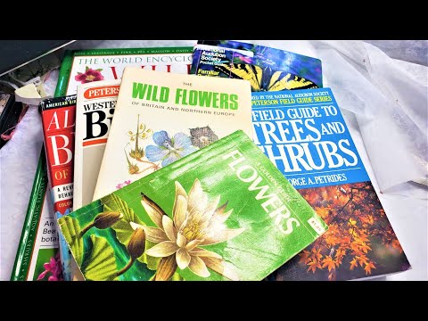 Junk Journal How and Where to Find Field Guides for Junk Journals! Take a Peek! :) The Paper Outpost