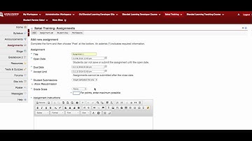 Creating Assignments in Sakai