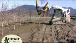 Lemar Tree Spades 500 Series Compact Spade