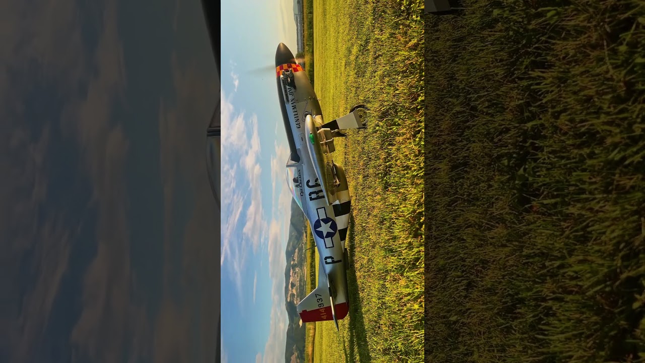 Insane sounding 😲 RC scale P-51 Mustang airplane😲