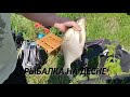 ЛЕЩ НА 1КГ!!! РЫБАЛКА НА ДЕСНЕ. ЛЕЩИ В САДКЕ)