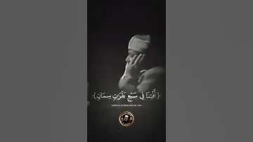 ي وس ف أ ي ه ا الص د يق 