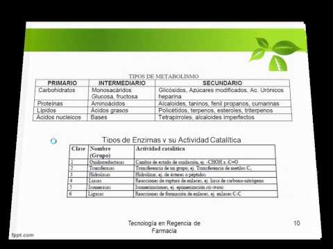 Metabolismo Vegetal. Metabolitos Primarios y Secundarios