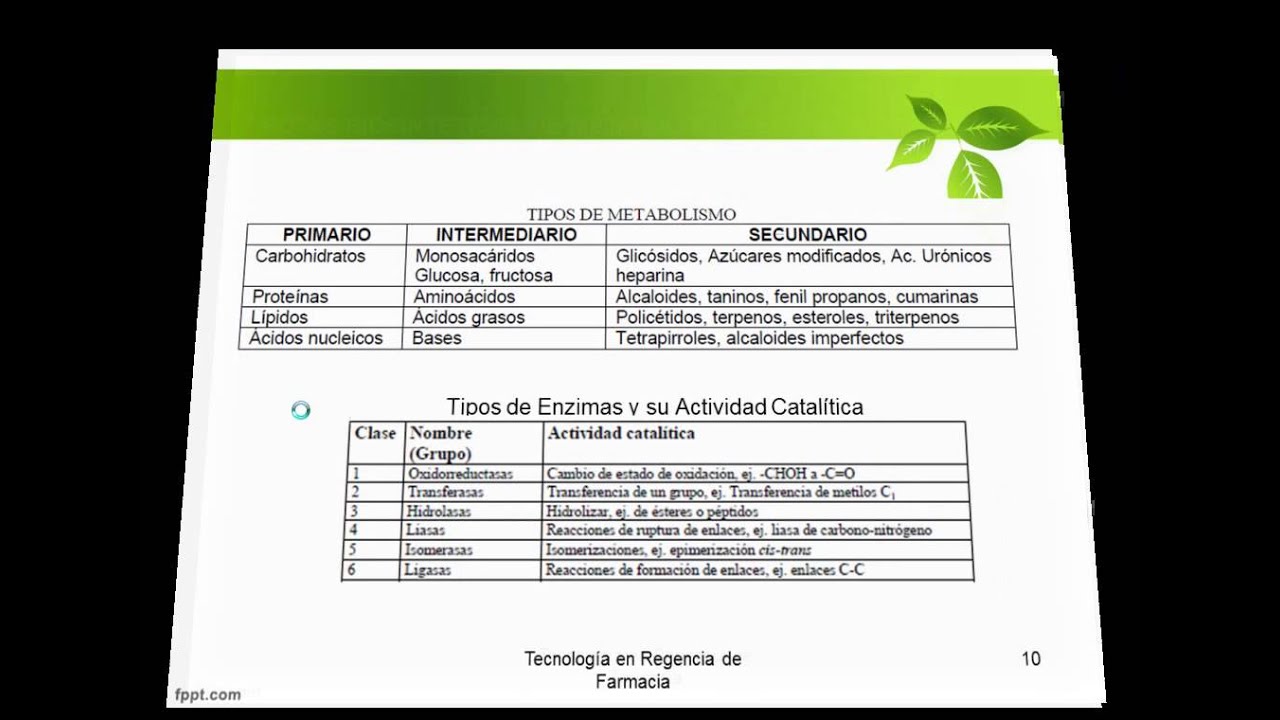 Metabolismo Vegetal. Metabolitos Primarios y Secundarios