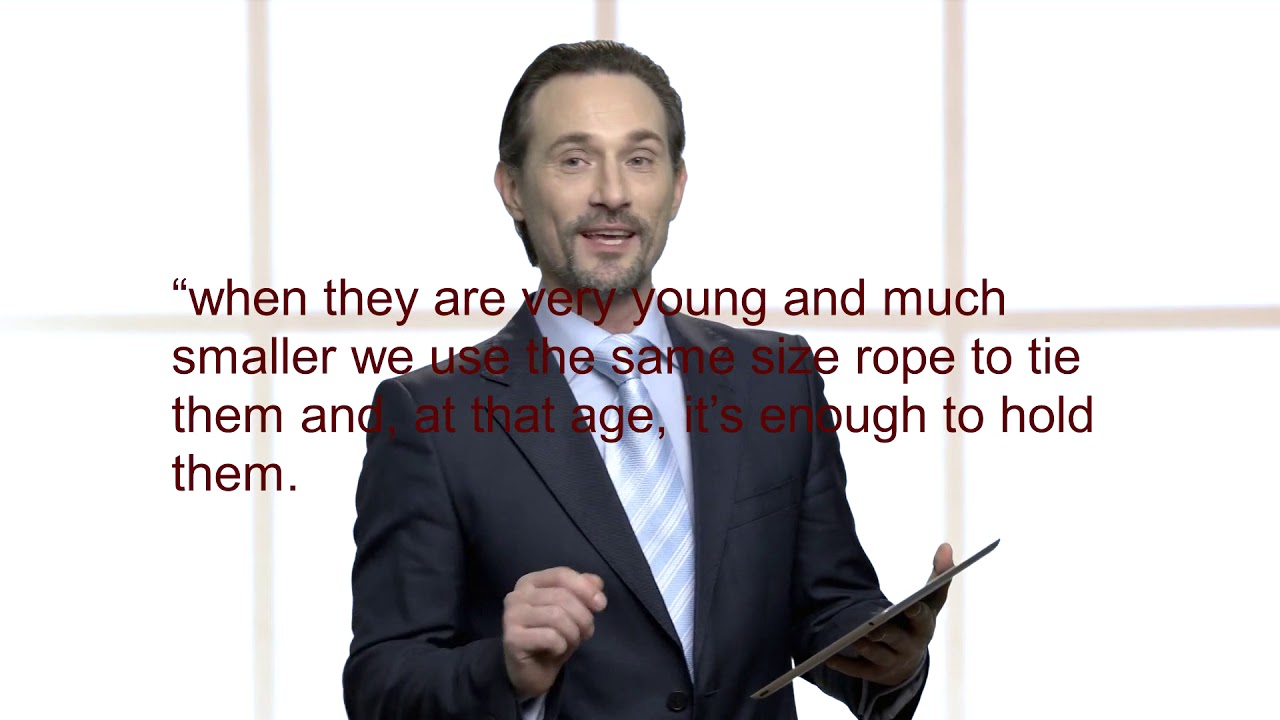 The Elephant Rope (Belief)