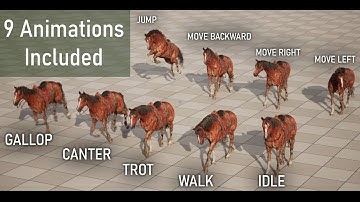Real Time Horse All animations Preview