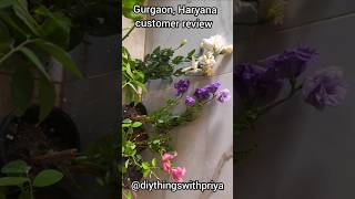 Happy customer review 😊 / Customer Reviews for plants / Customer Feedback video #shorts