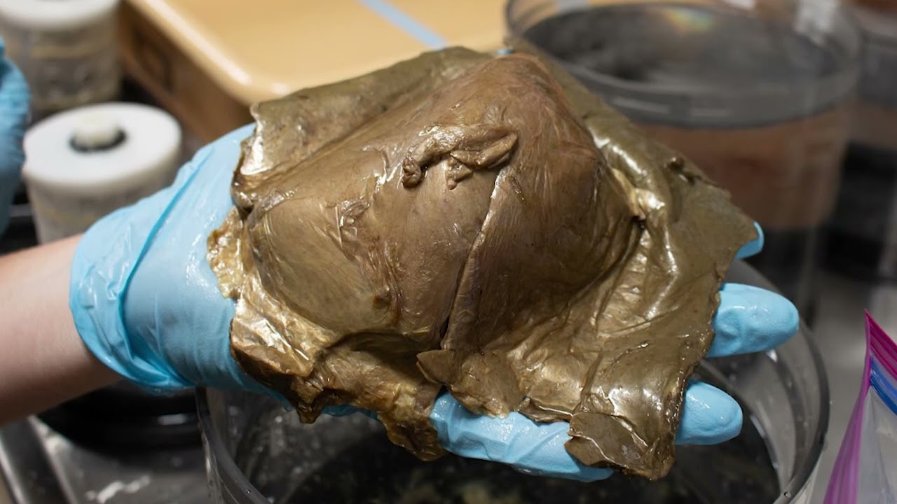 NOAA Ocean Exploration