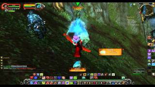 WoW 2010 12 14 Arcticus