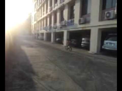 Guillermito sin ruedas!!! video phone beyonce mp3