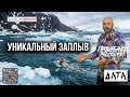 7 августа 1987 - АМЕРИКАНКА ПЕРЕПЛЫВАЕТ БЕРИНГОВ ПРОЛИВ