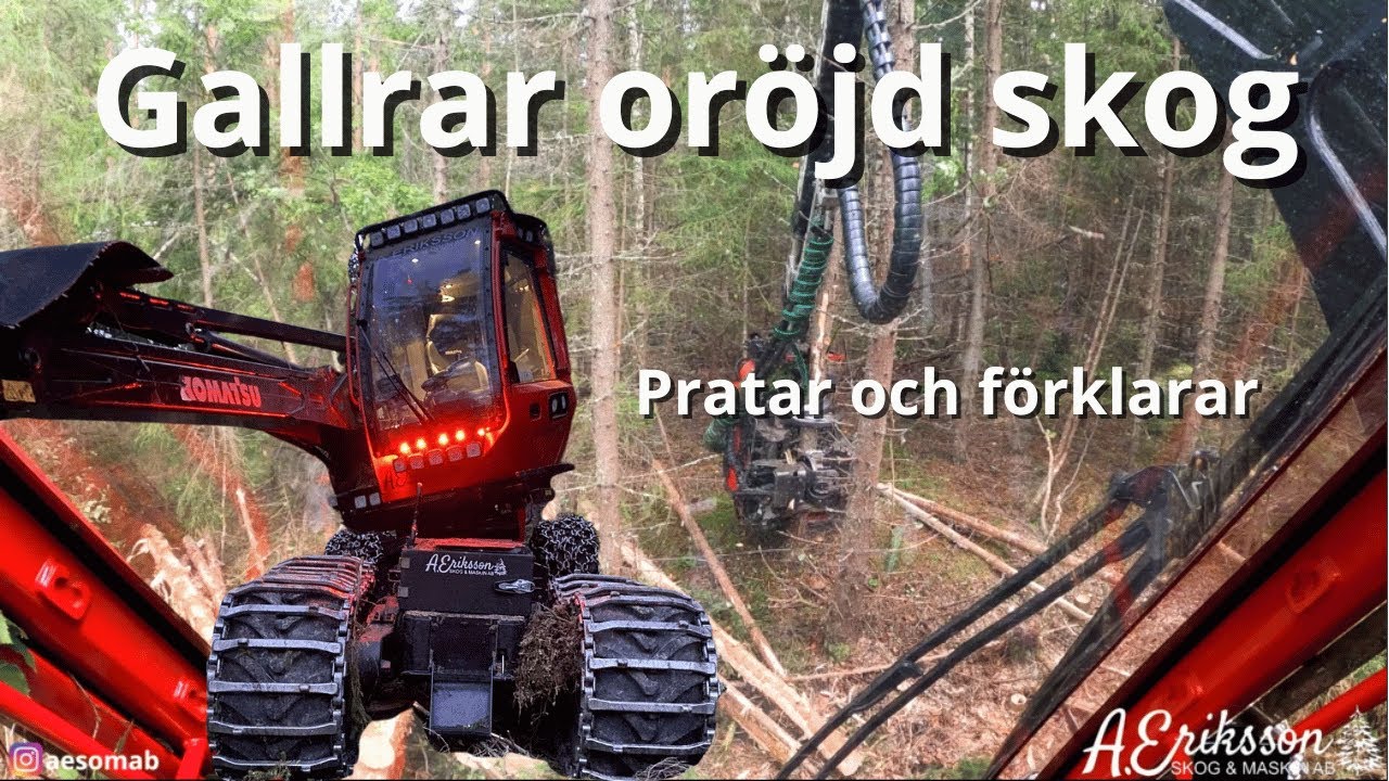 Komatsu 901 C93 | Gallring i oröjd skog