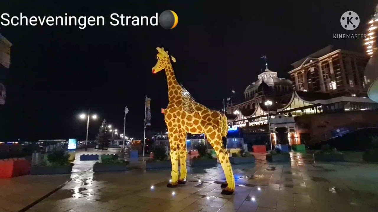 Scheveningen Strand walking night alone .Den Haag🌷Nederland