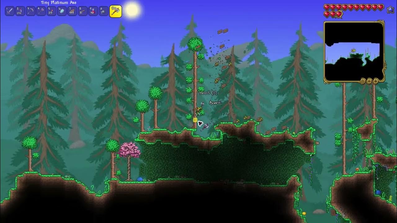 How to get Eucalyptus Sap for the Sugar Glider pet Terraria 1.4.3.2