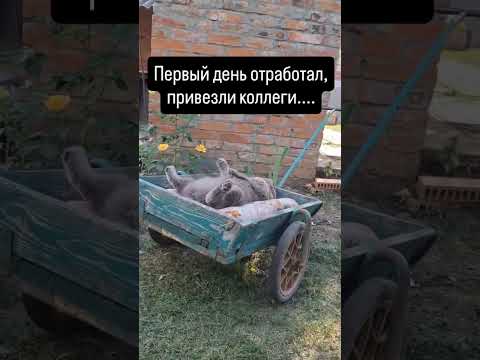 ТГ: layla_winx #гипнокоуч #гипнолог #гипнотерапия #гипнологонлайн #гипноз #транс #гипнозонлайн