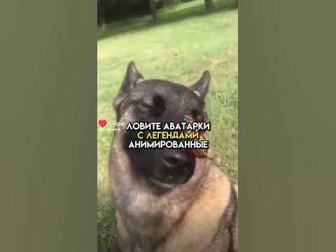 лютые аватарки - YouTube