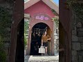 Just a random short..