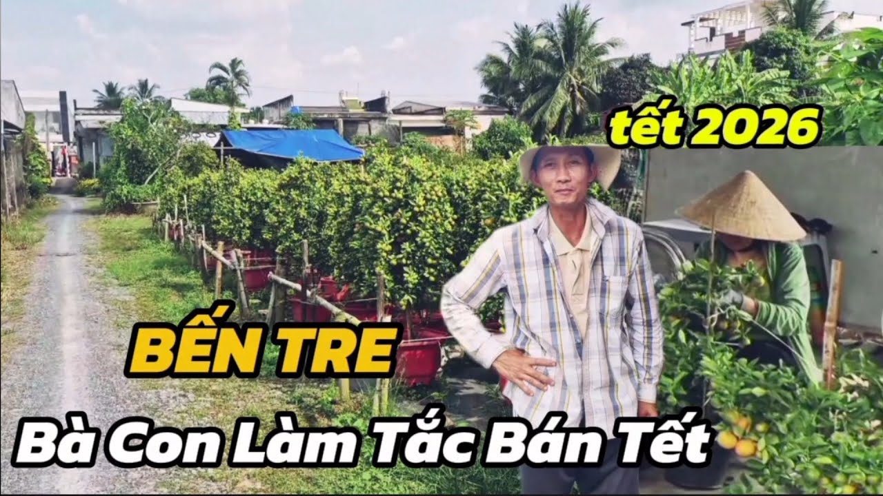 TẾT 2026 BẾN TRE VÙNG QUÊ  BÀ CON LÀM TẮC BÁN TẾT 