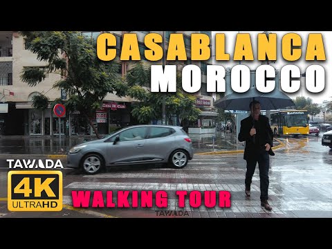 فيديو: يمشي في الدار البيضاء