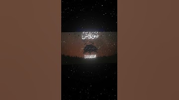 سورة يس|63-66|القارئ:#محمد_اللحيدان #قران #quran  #قران_كريم #تلاوة #تلاوة_هادئة #آية #تلاوة_خاشعة