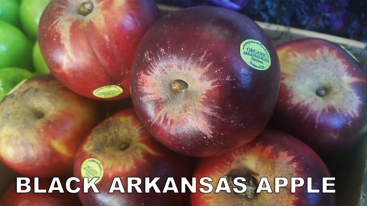 Organic Black Arkansas Apples — Melissas Produce