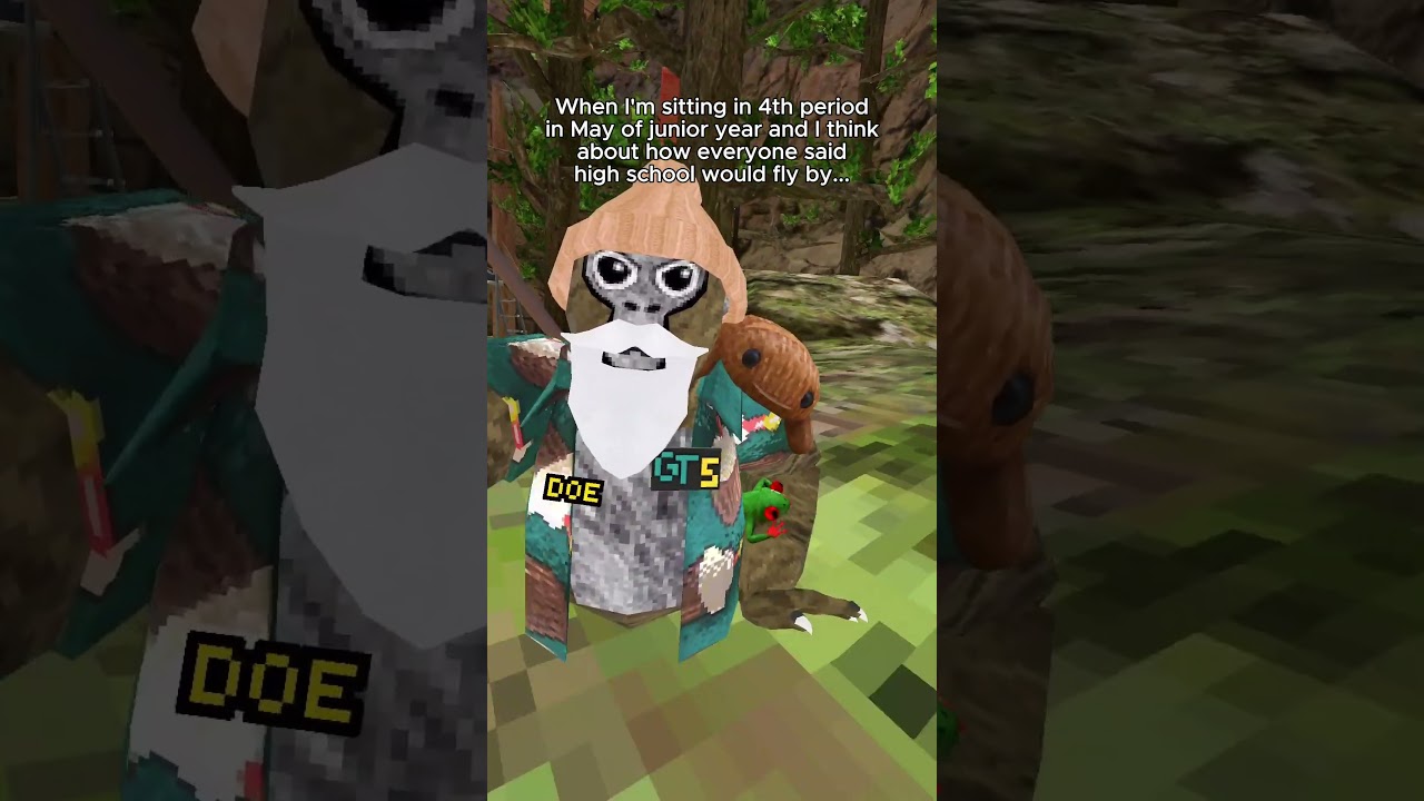 Time Actually Did Fly By... #gorillatag #gtag #vr