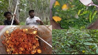 ambil kayu ke hutan untuk membuat atap tempat masak air minum