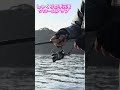 伊根町 ヤリイカ釣りのしゃくり