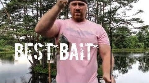 Bait you Need to Catch a Snapping Turtle (Works Every Time!)