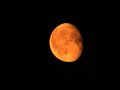 Catching the Red Moon on my [old] New Camera at 2 AM