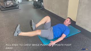 Lower Extremity Deadbug