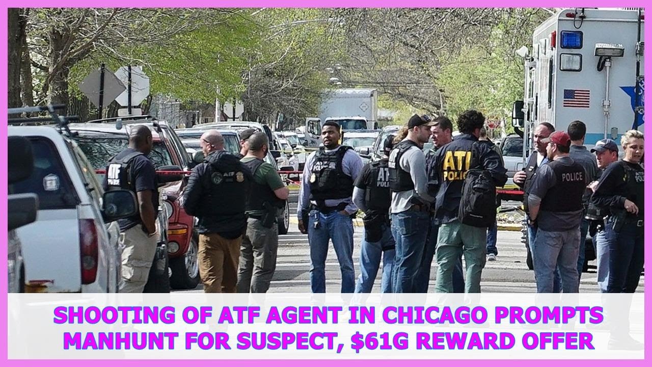 FOX NEWS Shooting of ATF agent in Chicago prompts manhunt for suspect