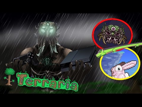 Video: Terrarias 