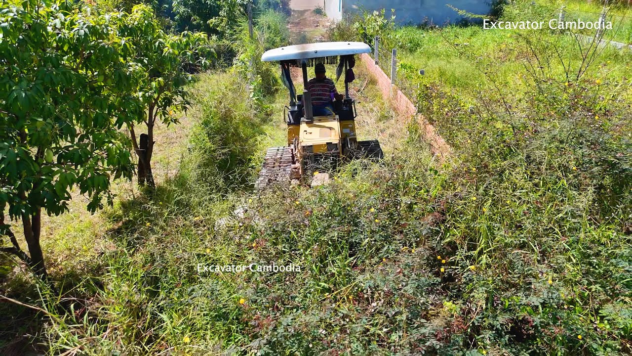 Amazing Project Clearing Forest Lands By Skill Driver Bulldozer D20P Pushing Forest & Land & Grass