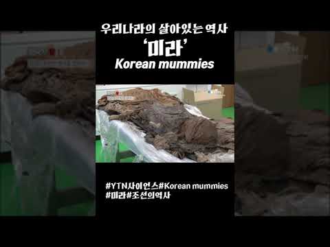 우리나라의 살아있는 역사 &amp;#<strong>39</strong>;미라&amp;#<strong>39</strong>; <strong>korea</strong> mummies #<strong>shorts</strong>